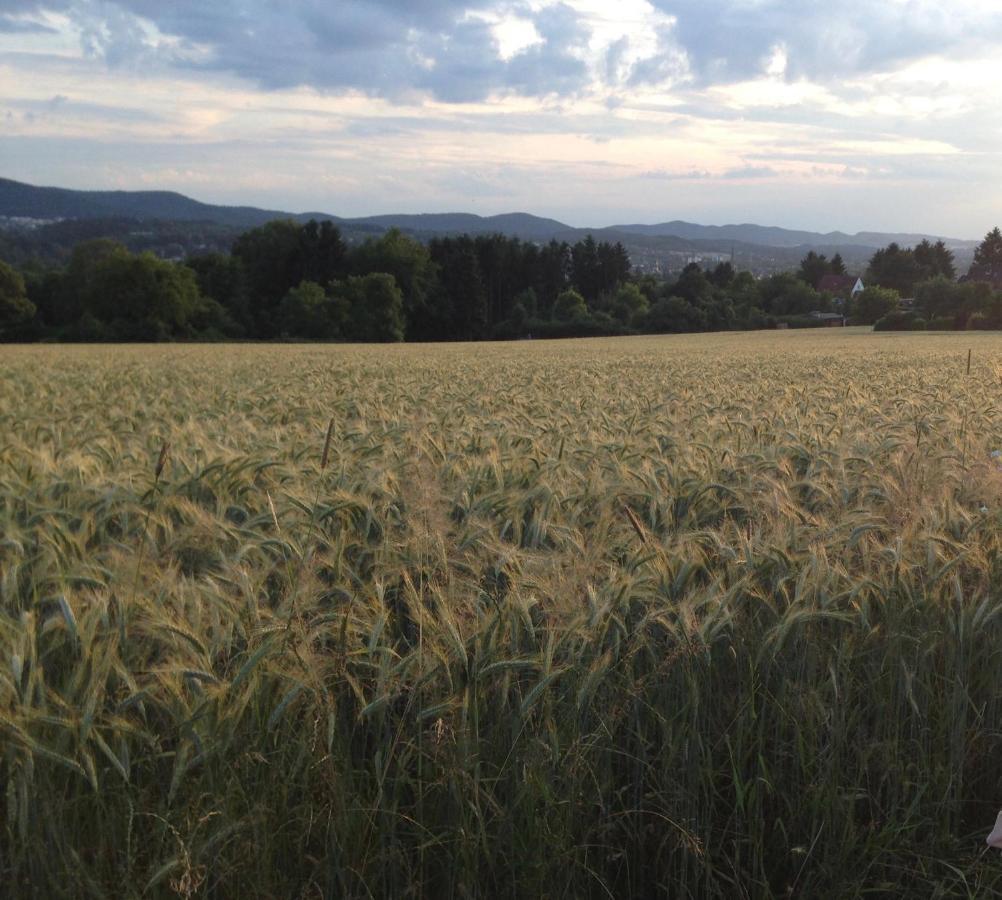 Lieblingsnest Detmold Apartment ภายนอก รูปภาพ